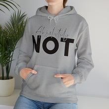 Load image into Gallery viewer, ABSOLUTLEY NOT